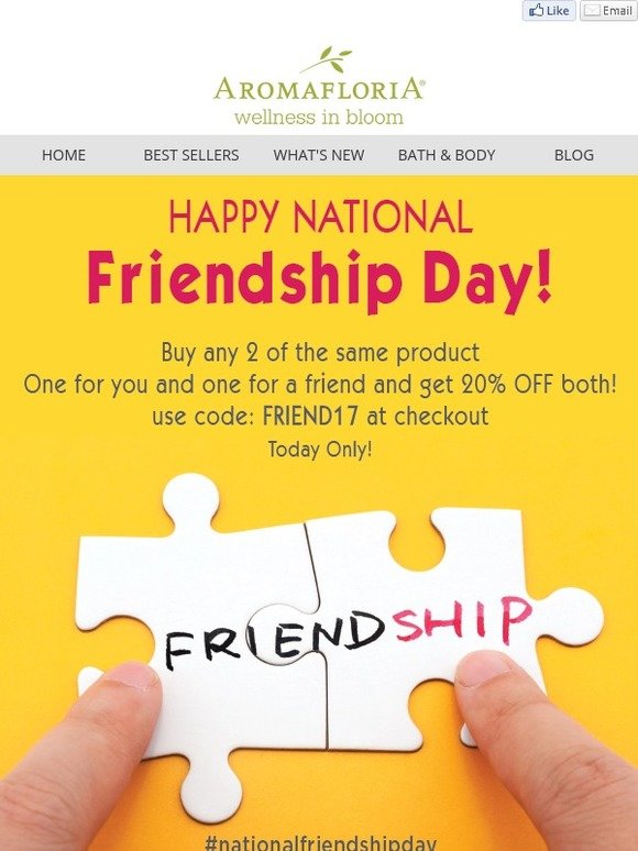 Example of a summer newsletter idea for Friendship Day featuring a special discount promotion and puzzle piece design.