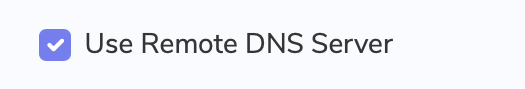 Use Remote DNS Server checkbox