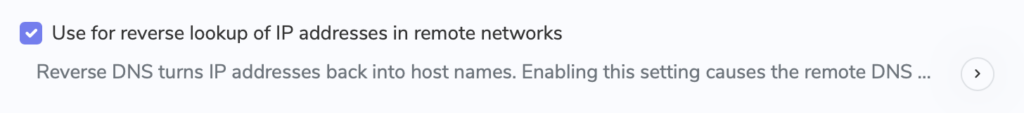 Enable reverse DNS lookup for IP addresses in remote VPN networks