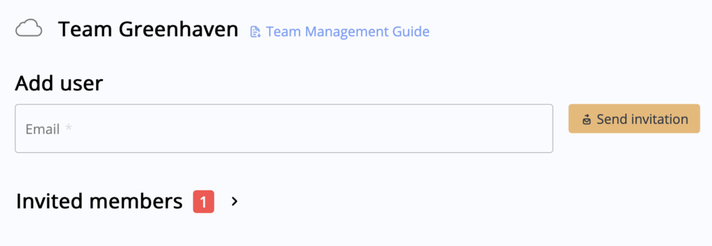 Invite new members by email during VPN team management