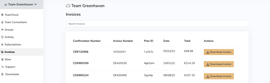 Access invoices for your VPN team management