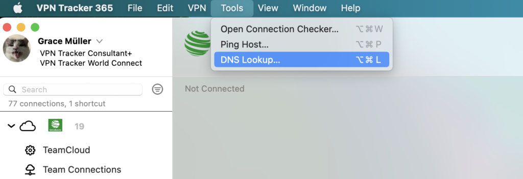 VPN connected but DNS not working – use VPN Tracker DNS Lookup to find IP address