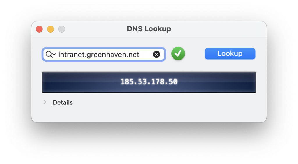 Troubleshooting VPN DNS resolution issues with VPN Tracker DNS Lookup tool